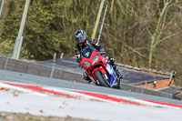 Oulton-Park-21st-March-2020;PJ-Motorsport-Photography-2020;anglesey;brands-hatch;cadwell-park;croft;donington-park;enduro-digital-images;event-digital-images;eventdigitalimages;mallory;no-limits;oulton-park;peter-wileman-photography;racing-digital-images;silverstone;snetterton;trackday-digital-images;trackday-photos;vmcc-banbury-run;welsh-2-day-enduro